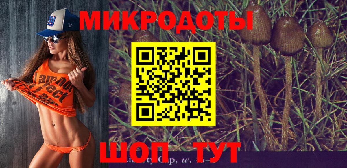 Красноярск  Псилоцибиновые грибы MAGIC MUSHROOMS  наркотики  Вход с VPN  Галлюциногенные грибы мухоморы 
