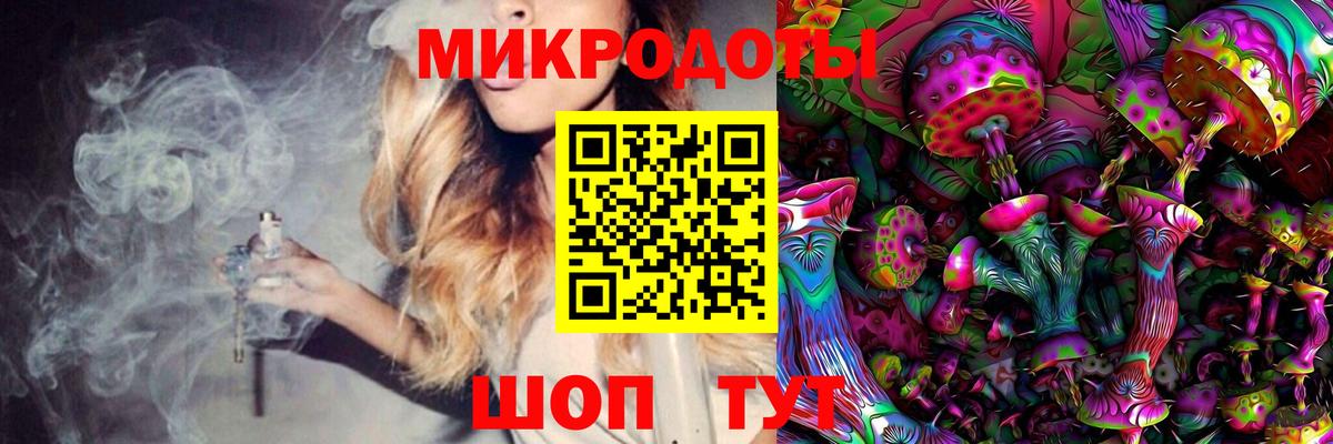 Галлюциногенные грибы Cubensis Красноярск